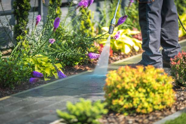 Best Animal Enclosure Cleaning  in Canyon Creek, WA